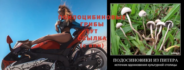дживик Медногорск