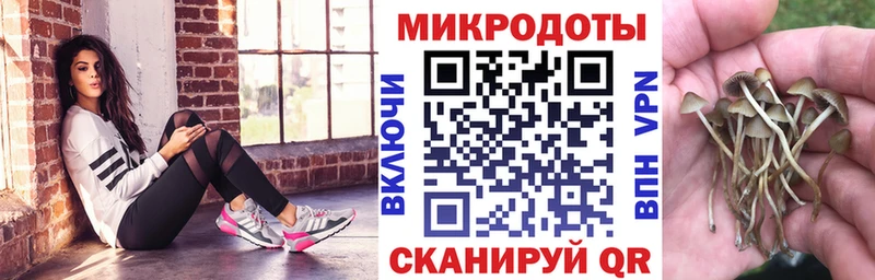 Псилоцибиновые грибы прущие грибы сколько стоит Тимашёвск